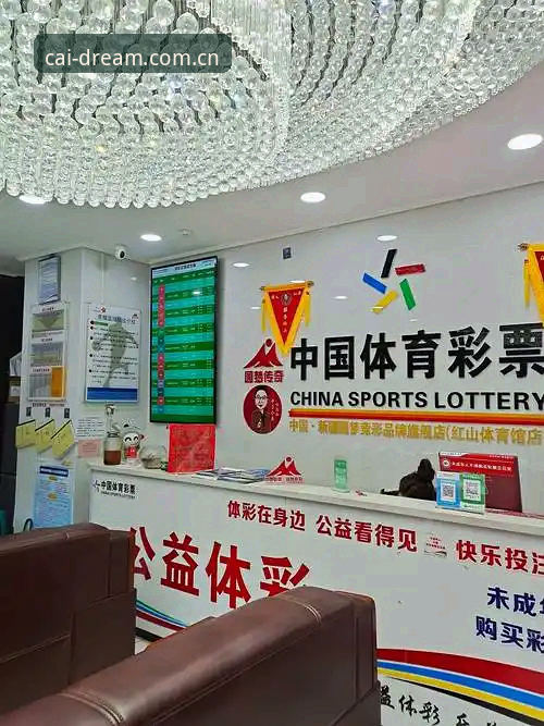 大发彩票轻松购彩实用技巧：从数据规律到选号策略的必备知识
